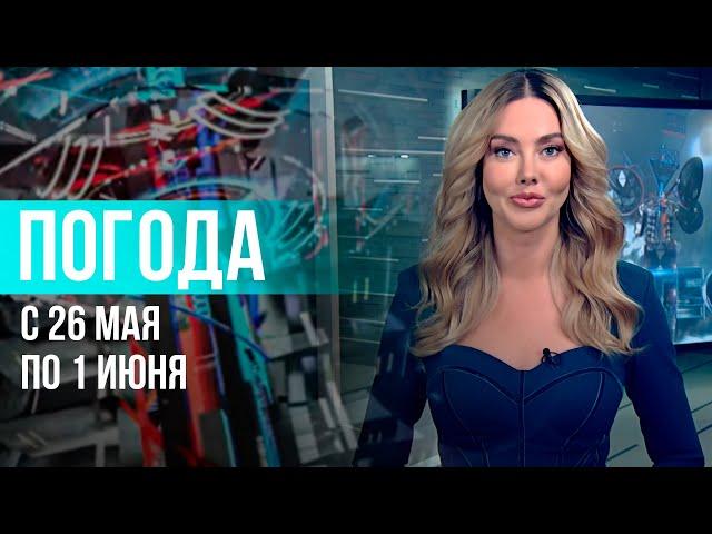 Погода на неделю 26 мая – 1 июня 2025. Прогноз погоды. Беларусь | Метеогид