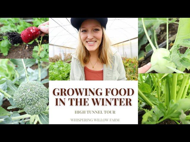 Growing Food in the Winter / High Tunnel Tour