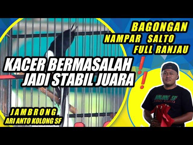 FULLKACER BERMASALAH CARA MERAWAT BURUNG KACER JAMBRONG KACER KONSLET MATERI MEWAH 