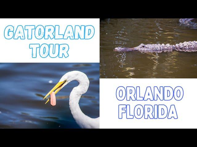 Orlando Florida - Gatorland  Tour #orlando  #florida