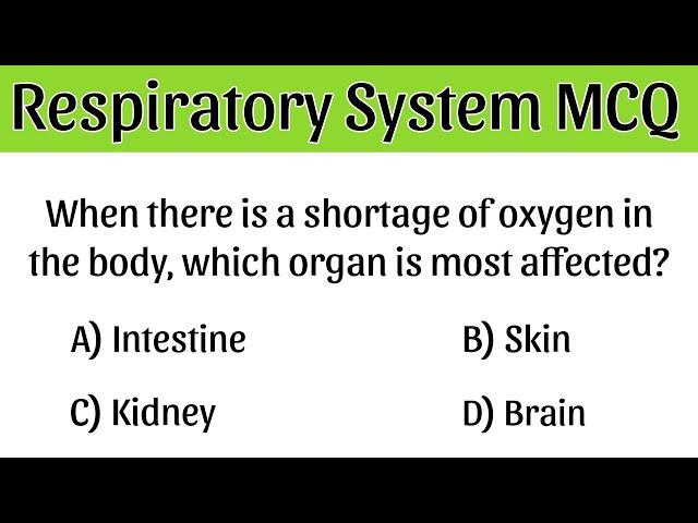 Respiratory System MCQ | respiration mcq | respiratory system