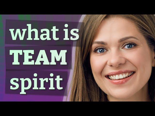 Team spirit | meaning of Team spirit