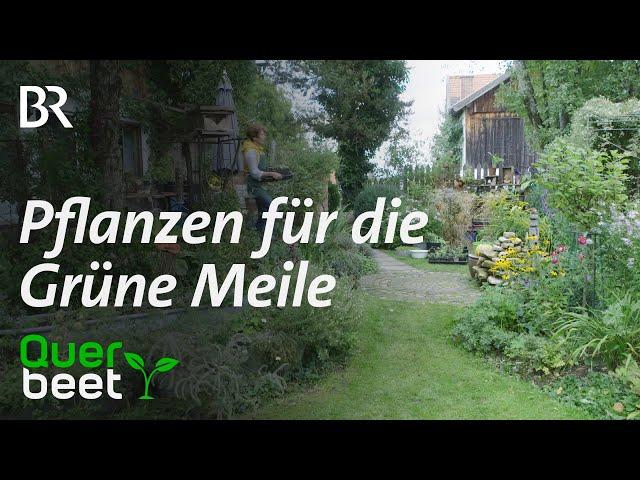 „Grüne Meile“ - Pflanzenmarkt im Pfaffenwinkel