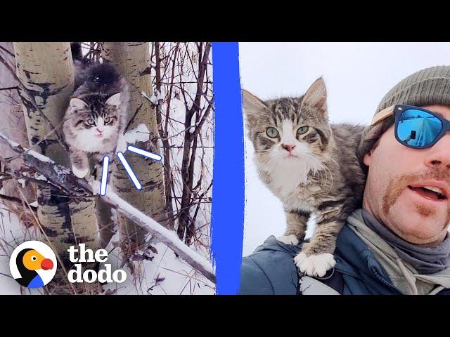 Guy Finds A Freezing Kitten While Hiking In The Snow | The Dodo