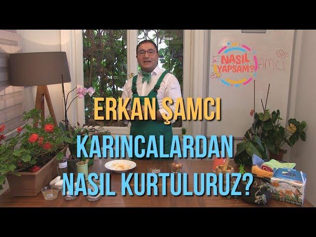 NASIL YAPSAM? | ERKAN ŞAMCI - KARINCALARDAN NASIL KURTULURUZ ?