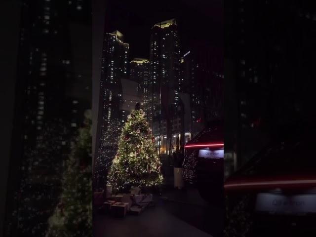 아우디 일산전시장의 밤