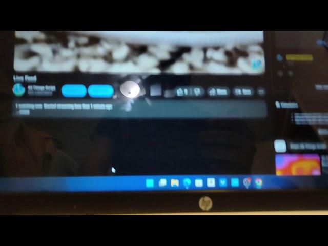 Live Feed