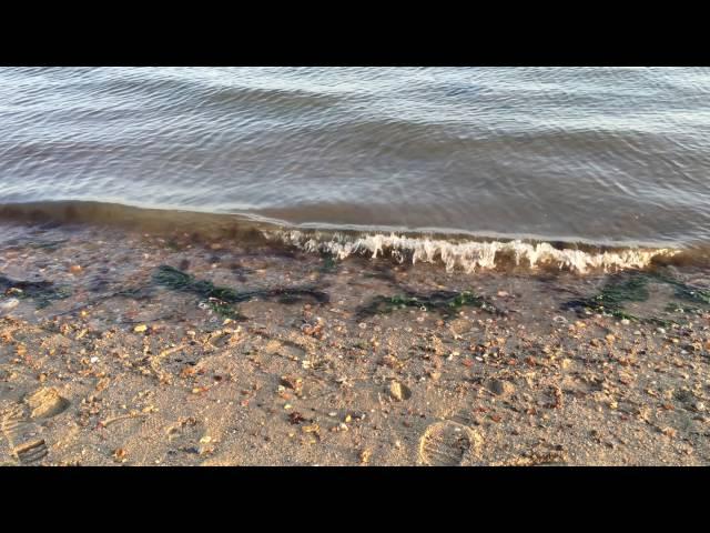 Hamworthy Park, Poole, Dorset (4K/UHD)