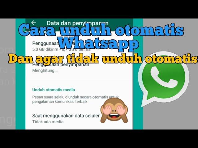 Agar foto dan video whatsapp tidak terunduh otomatis