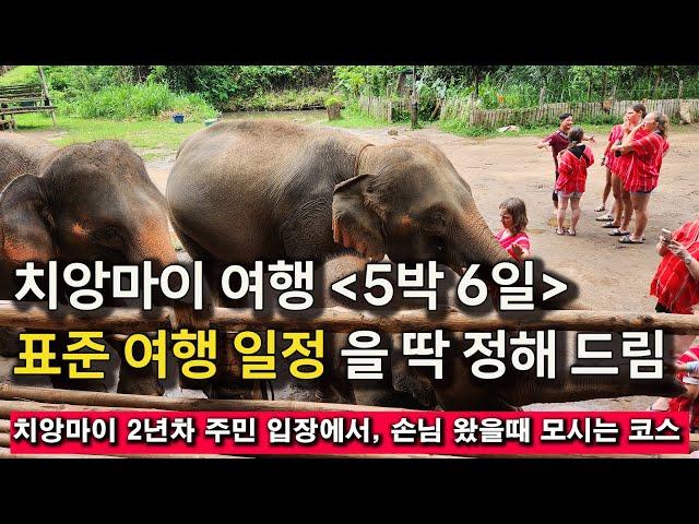 태국 치앙마이 여행, 5박 6일 여행 표준 코스. 한 달 살기 중 해볼 것들 정보