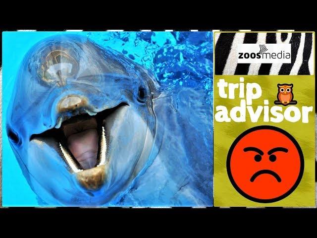 Why TripAdvisor is WRONG   | zoos.media