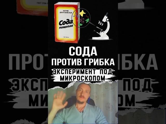 Как сода борется с грибком в организме #грибок  #здоровье #кандида  #подмикроскопом