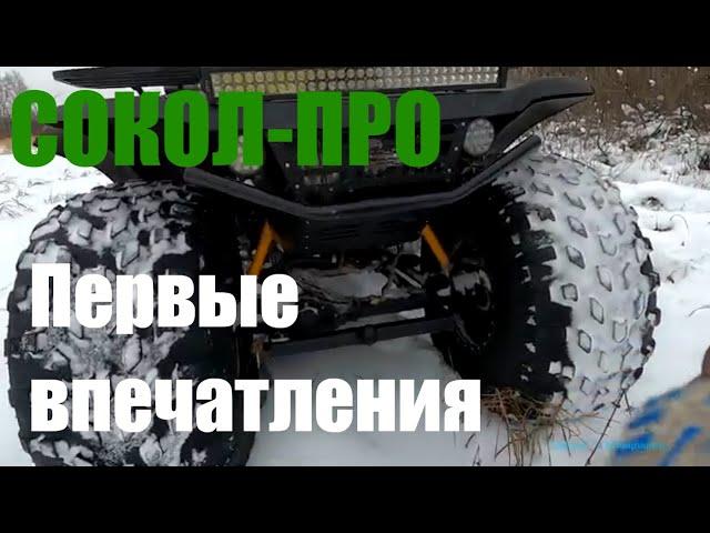Квадроцикл-болотоход СОКОЛ-ПРО. Первые впечатления.
