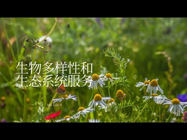 生物多样性和生态系统服务 (MS-LS2-5, Chinese)