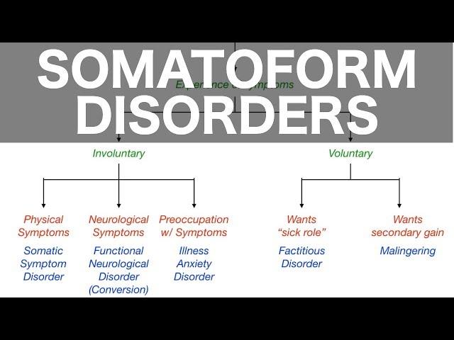 Somatoform Disorders (Somatic Symptom, Conversion, Illness Anxiety, Factitious, Malingering)