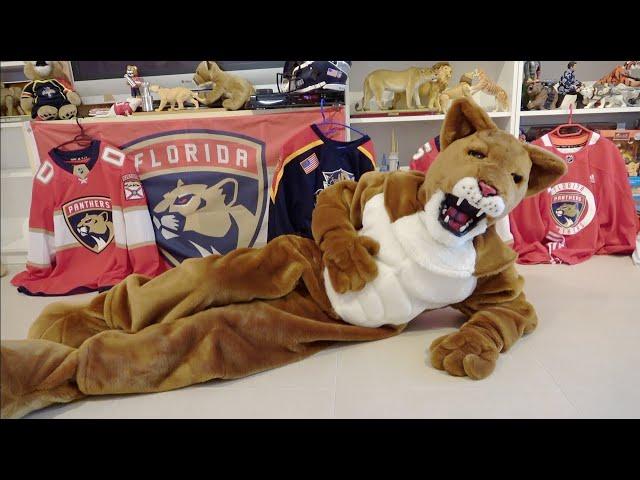 Alinco Power Real Cats Cougar Mascot Costume Unboxing, Suit Up & Review (Pouncer the Panther)