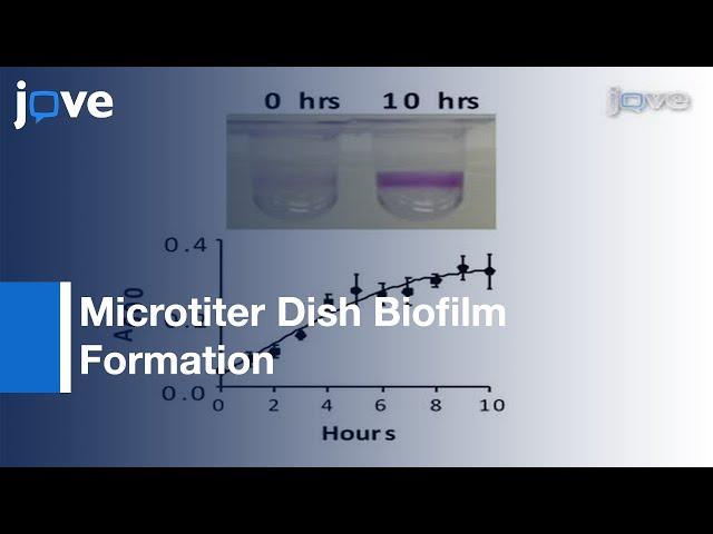 Microtiter Dish Biofilm Formation Assay l Protocol Preview