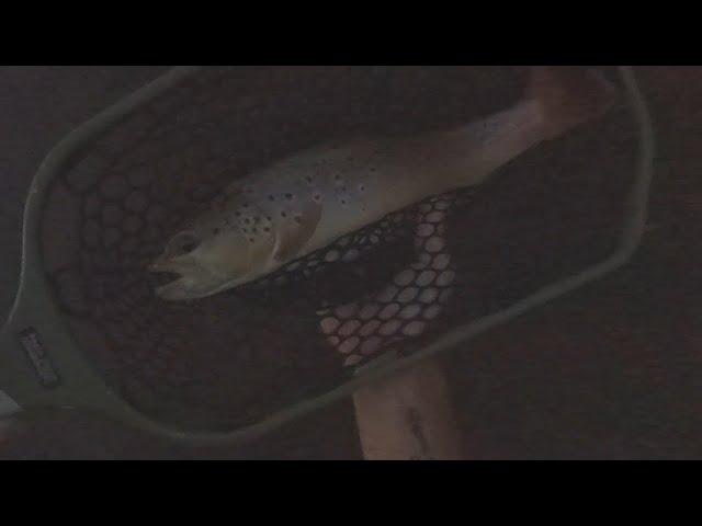 BFC- Big Fishing Creek PA, Summer Fly-Fishing