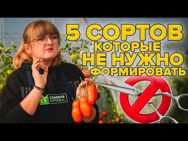 ТОМАТЫ БЕЗ ХЛОПОТ! ИХ НЕ НУЖНО ФОРМИРОВАТЬ! ТОП-5 ПОМИДОРОВ ДЛЯ 2022