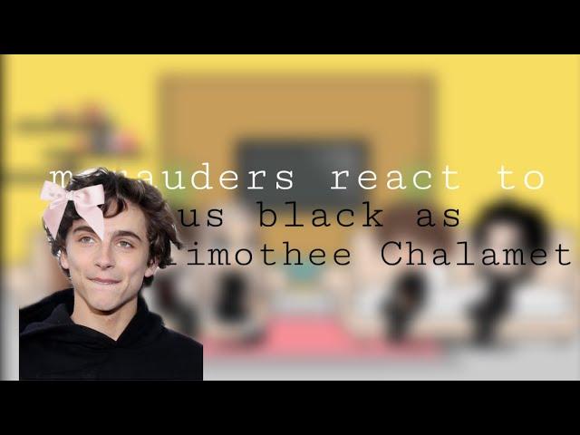 MARAUDERS REACT TO REGULUS BLACK AS TIMOTHEE CHALAMET || wip 2|| speed x2