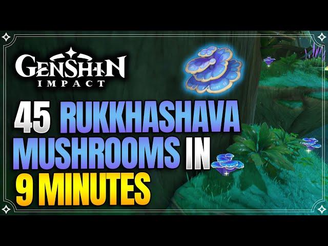 Rukkhashava Mushrooms Locations | Fast and Efficient Route | Ascension Materials |【Genshin Impact】