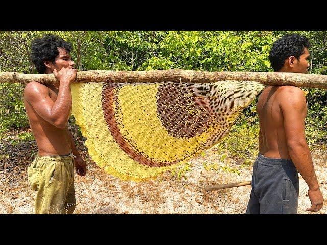 Primitive Technology: Harvest Beehive and Honey by Brave Bushmen