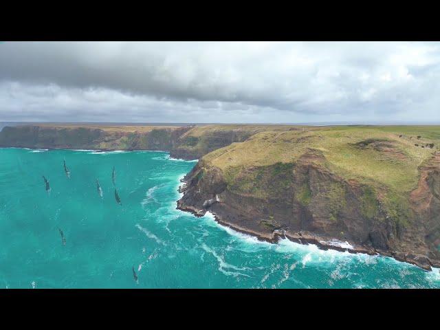 A Chatham Island Fishing Adventure (chasing big fish down the beach)