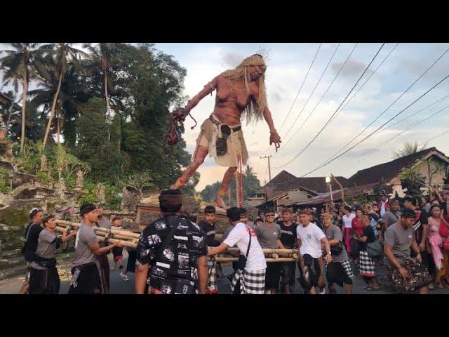 PAWAI OGOH - OGOH SAAT MALAM PENGERUPUKAN DI KOTA BANGLI | HARI RAYA NYEPI | TRADISI BALI