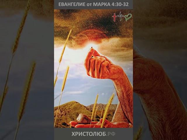 #ИИСУС #ХРИСТОС ️ Царство Божье подобно зерну горчичному #Евангелие @ХРИСТОЛЮБ ️ @ВЕГАН  #shorts