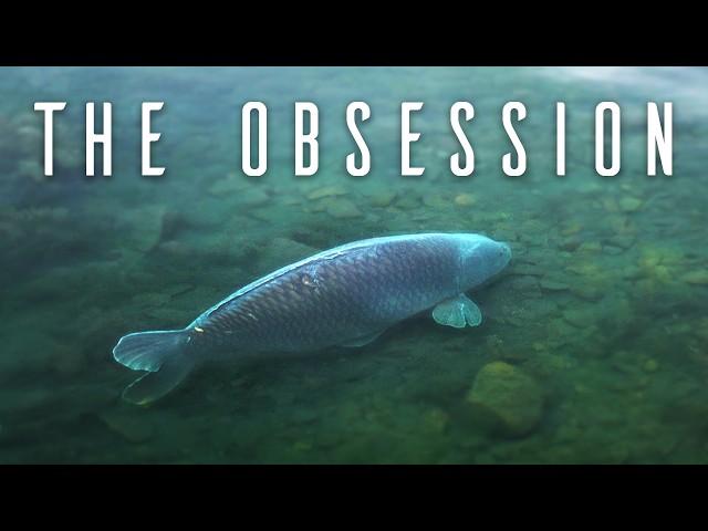 THE OBSESSION - Full Carp Fishing Movie