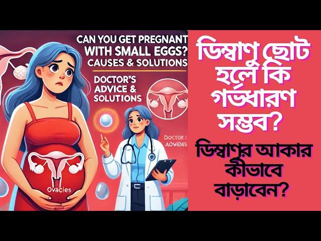 ডিম্বাণু ছোট হলে কি গর্ভধারণ সম্ভব? কারণ, লক্ষণ ও সমাধান | ডিম্বাণুর আকার কীভাবে বাড়াবেন?