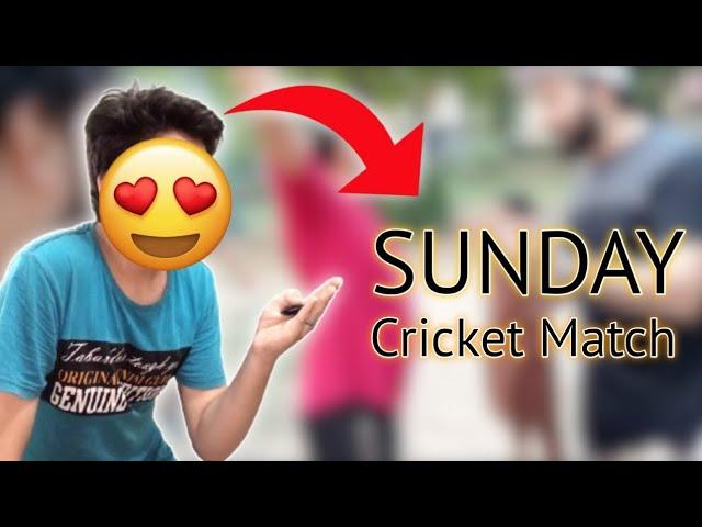 Sunday cricket  Match gone wrong | Hunny vlogs