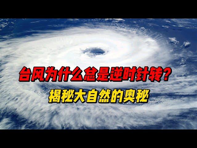 「科普一下」台风为什么总是逆时针转？揭秘大自然的奥秘