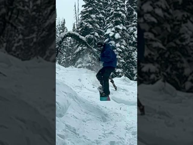 Sunshine Village Tree Ride