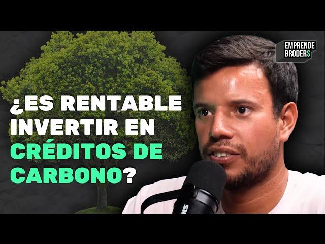 Lo que debes saber si vas a invertir en créditos de carbono