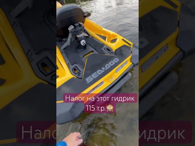 Бюджетный турбовый гидрик, максимальный разгон 108км #brp #jetski #gidrikrent #gtr230 #гидроцикл