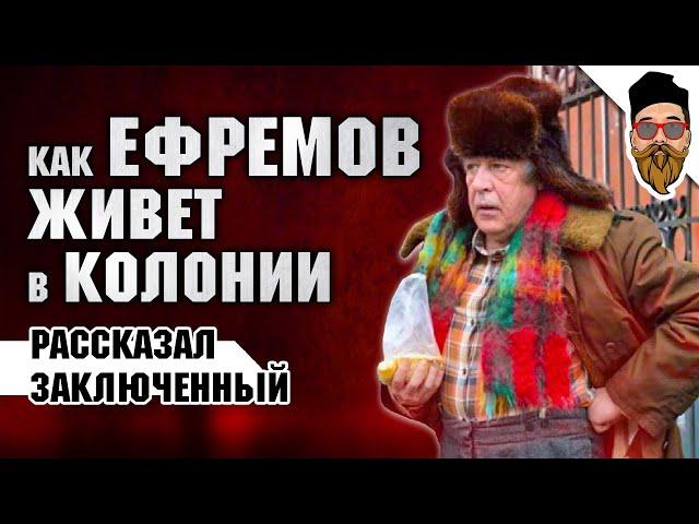 Ефремова в колонии называют дядя Миша, сидит с двумя иностранцами и скидывается на "общак"