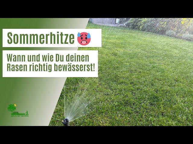 Sommerhitze  | Effektive Rasenbewässerung im Sommer | Beste Bewässerungszeit um Wasser zu sparen