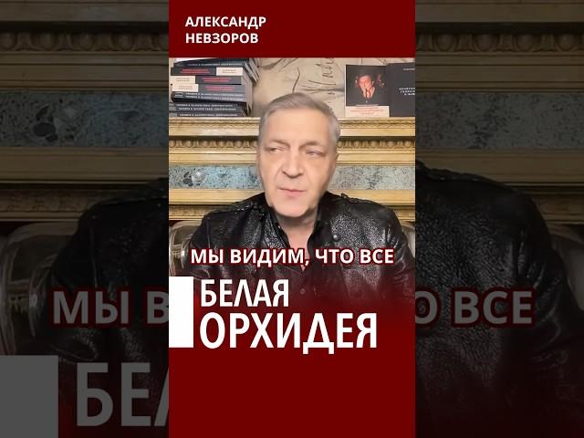 Вонючий меморандум Кремля #невзоров