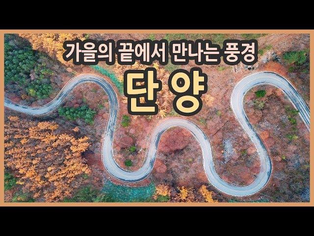 [랜선여행] 가을의 끝에 만나는 단양 여행 & 맛집 / 가을여행, 국내여행지추천, 이끼터널, 남한강갈대숲, 보발재, 단양강 잔도, 향미식당, 송이마을