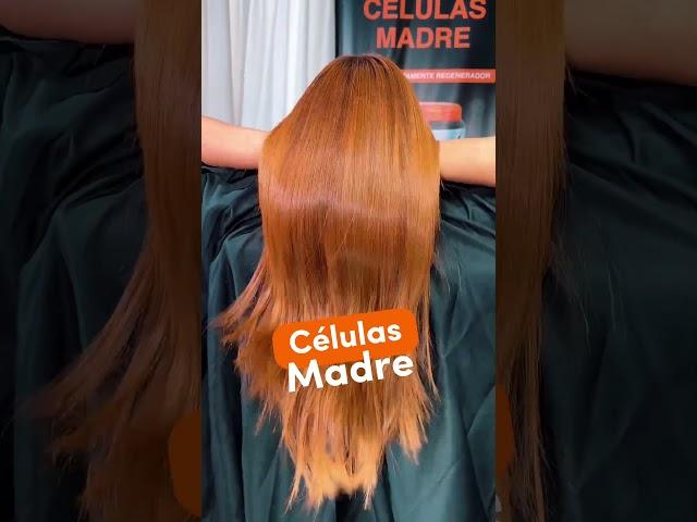 Células Madre, LISS EXPERT, el mejor alisado SIN FORMOL, a la venta en Made in Catucci