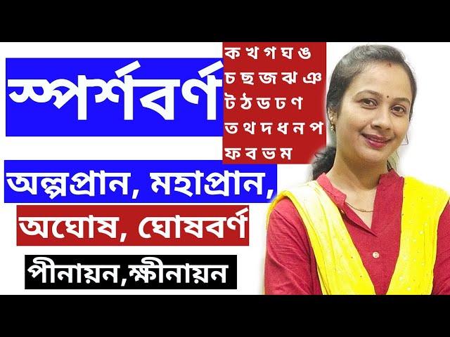 অল্পপ্রান,মহাপ্রান বর্ণ।অঘোষ ও ঘোষ বর্ণ।পীনায়ন ও ক্ষীনায়ন। স্পর্শবর্ণগুলির বর্গ ও উচ্চারণ স্থান।