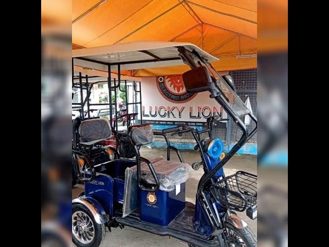 LUCKY LION E-BIKE FEATURES 