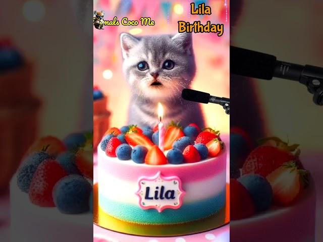 LILA BIRTHDAY | HAPPY BIRTHDAY SONG WITH NAMES | Adorable Cute Cat   #happybirthday #cat