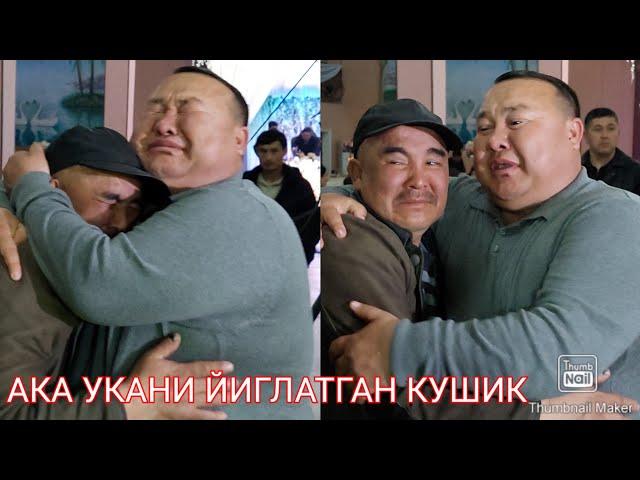 АКА УКАНИ ЙИГЛАТГАН КУШИК ЖАСУРБЕК МАВЛОНОВ