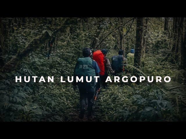 Pendakian Napak Tilas Argopuro , Belajar Dari Sebuah Pengalaman  | Part 2