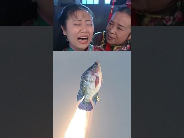第一條上太空的魚來自台灣，一到NASA查無此魚 #台灣鯛 #鯛魚 #搞笑