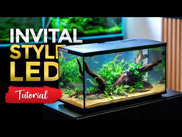 How to set up an aquarium - INVITAL Style | INVITAL