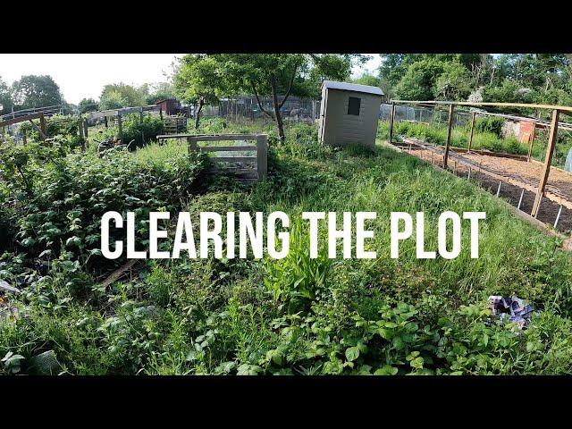 Day One On My First Allotment | Allotment For Beginners | Allotment Transformation