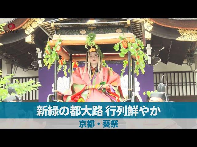 新緑の都大路、行列鮮やか 京都・葵祭